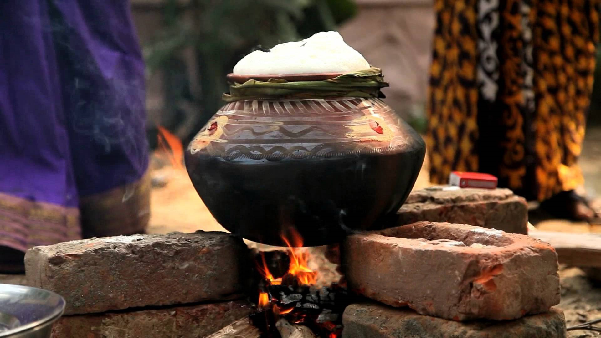 Know how Pongal the Winter Harvest festival of Tamil Nadu is celebrated