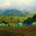 Ziro Valley Camping. Courtesy Google Images