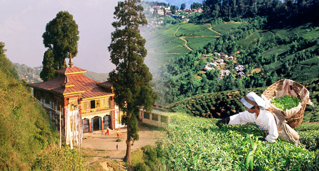 beauty of darjeeling hill