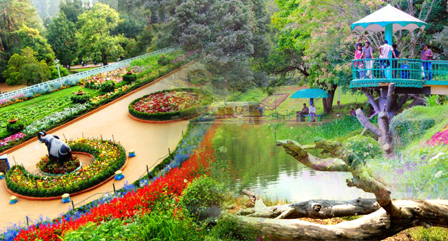 Best of India in the greenery of Ooty….