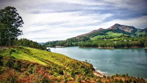 tea estates in Munnar