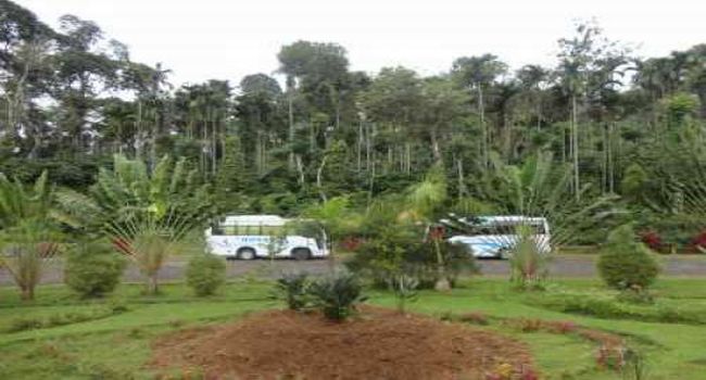 Abbi Falls Coorg