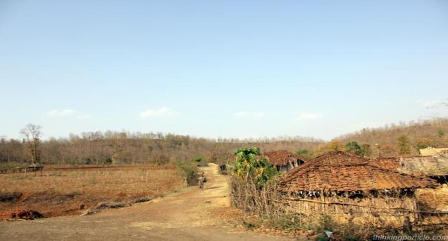 Jabalpur National Park