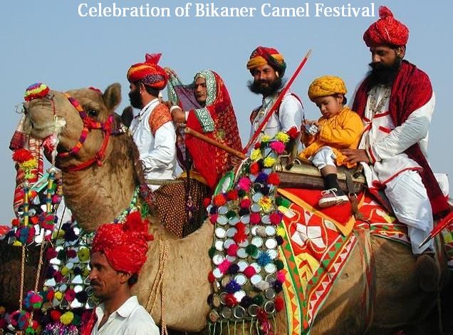 celebration of bikaner camel festival