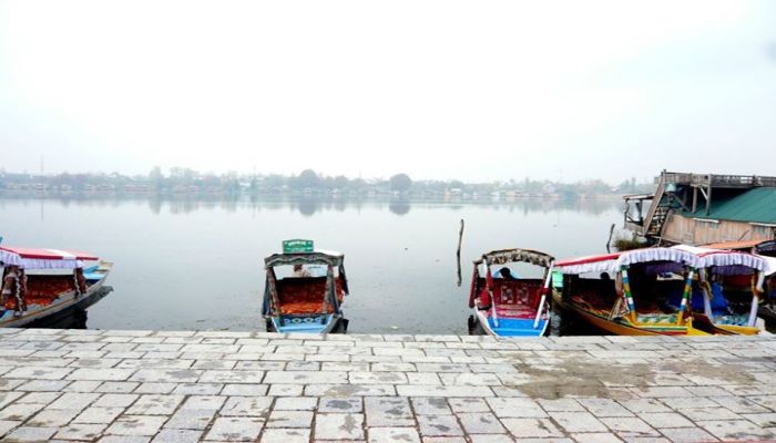 dal lake kashmir