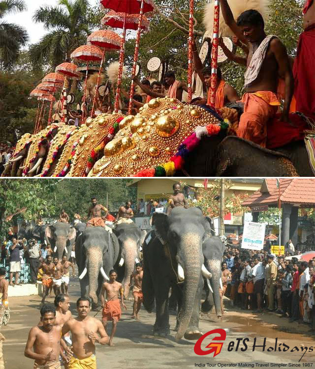 kerala-elephant-race-at-gur