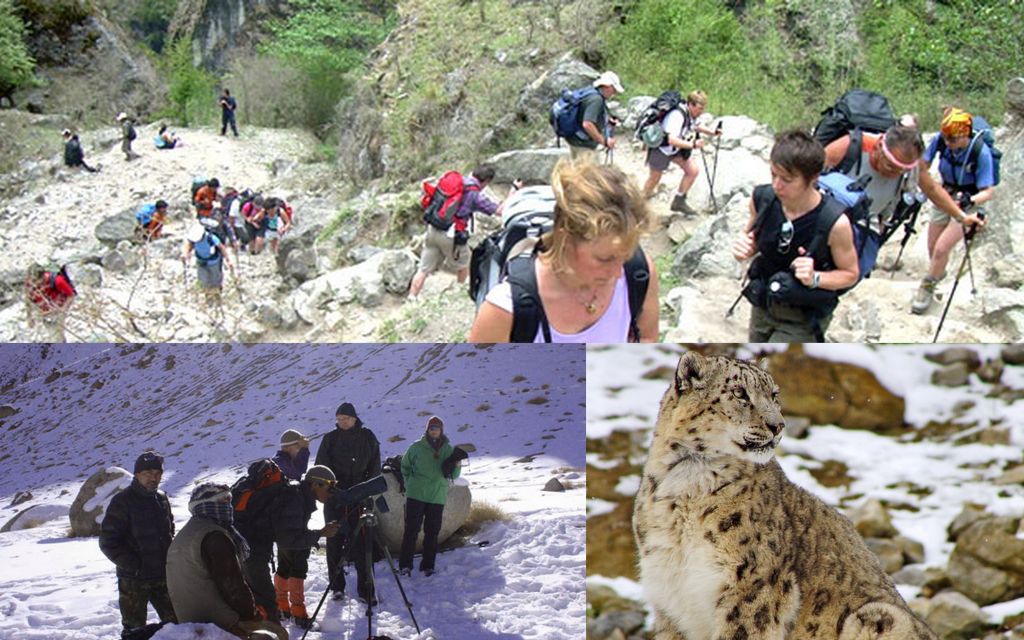 Trek in Leh ladakh