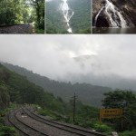 Trek to Dudhsagar waterfalls