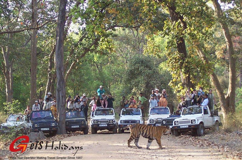 Bandhavgarh to Kanha by road