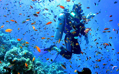 Scuba Diving Andaman