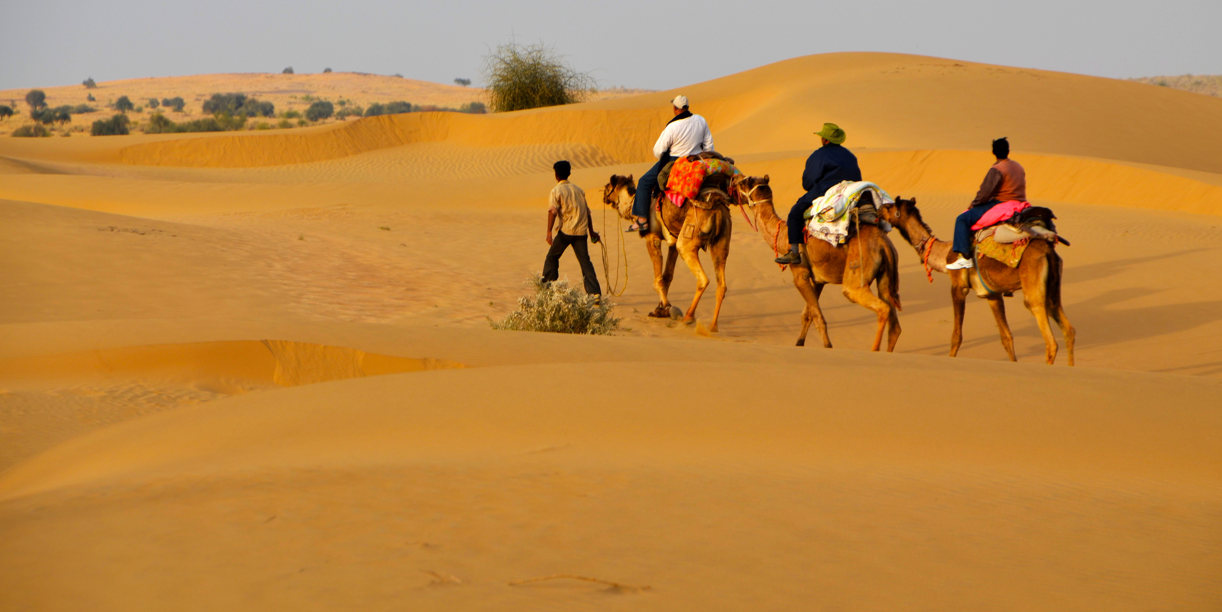 desert-safari-Jaisalmer