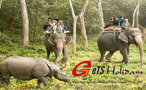 jungle safari essay in marathi