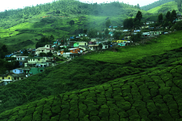 Munnar