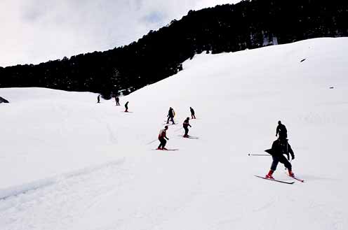 skiing in Auli