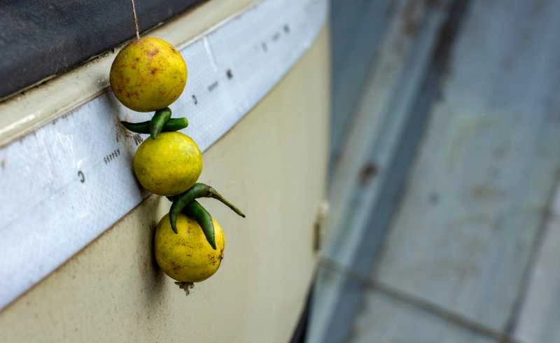 15 Famous Superstitious Beliefs in India Origins, Logic, and Significance