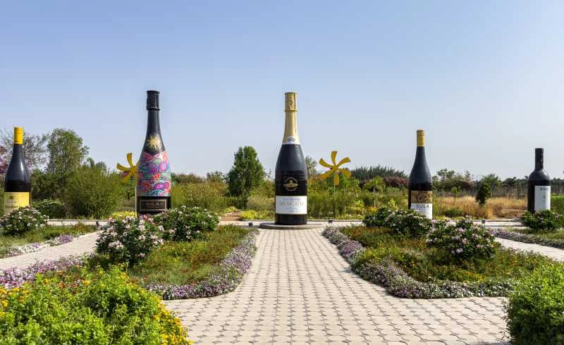 Top 10 Vineyards and Wineries in India