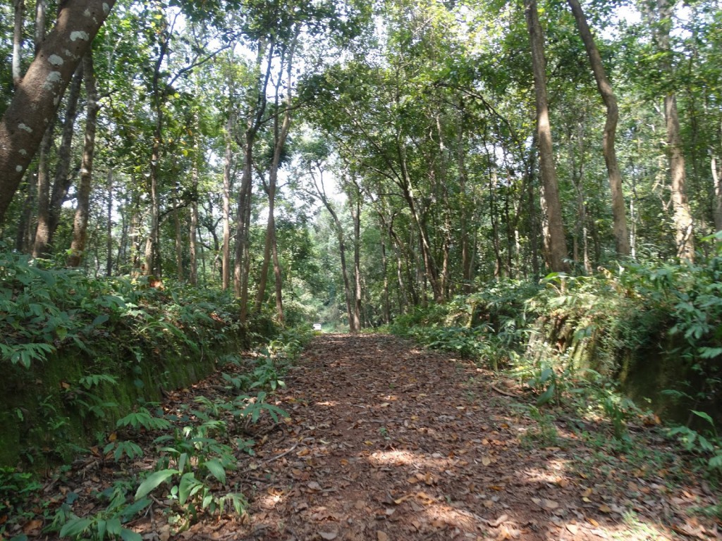 Kanger Valley National Park