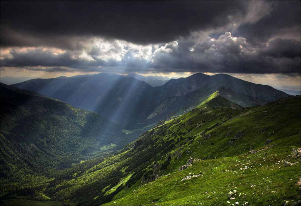 Munnar, Kerala