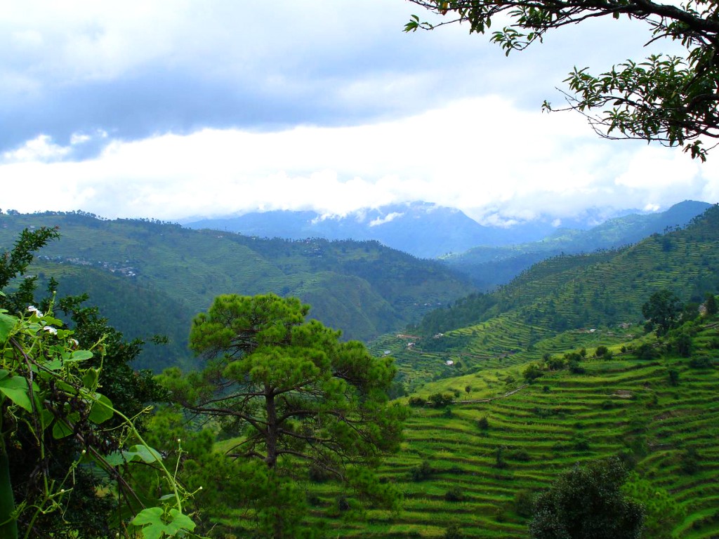 Ranikhet, Uttarakhand