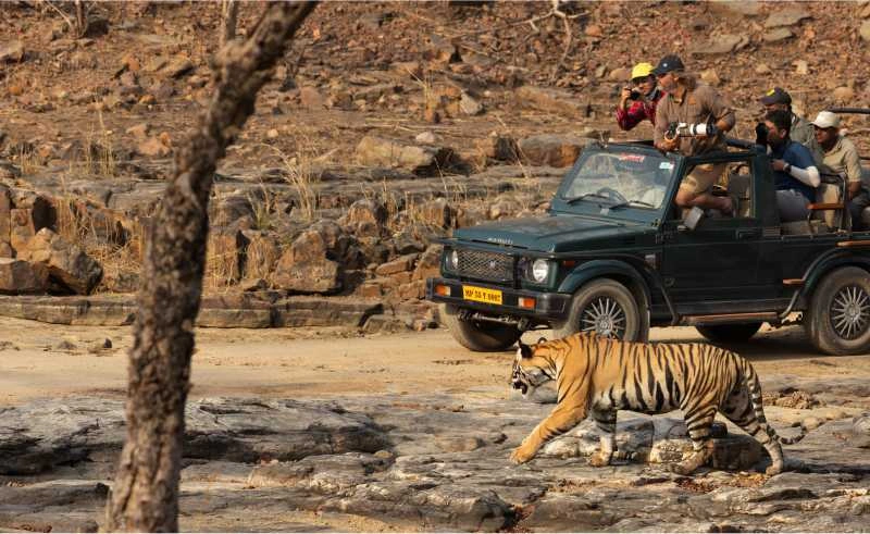 Change in the dates of the opening of National Parks in Madhya Pradesh
