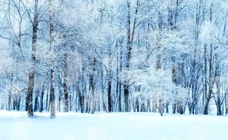 Beating Winter Blues with Indian destinations in January