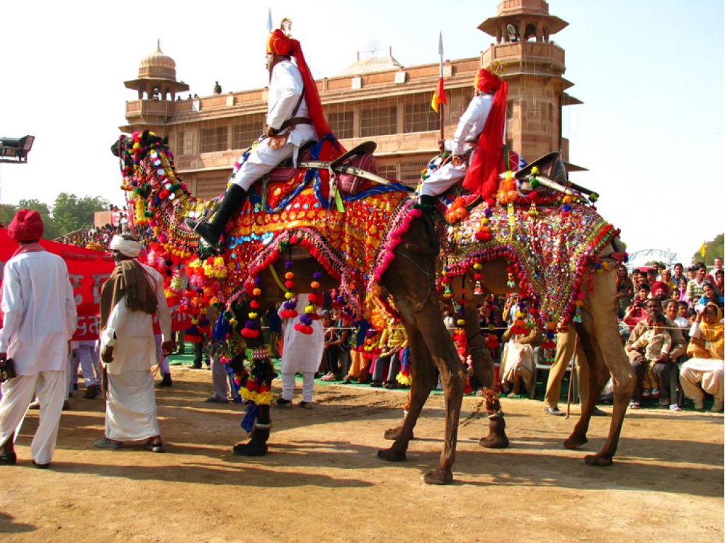 Bikaner camel festival, Rajasthan