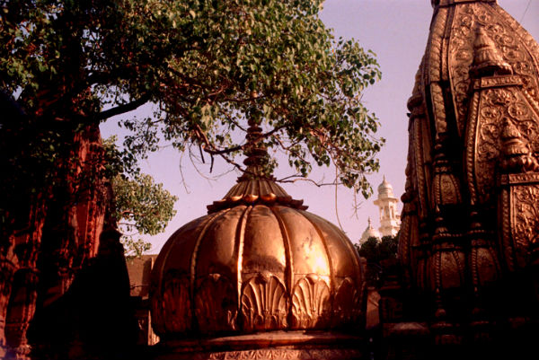 Golden Chhatri