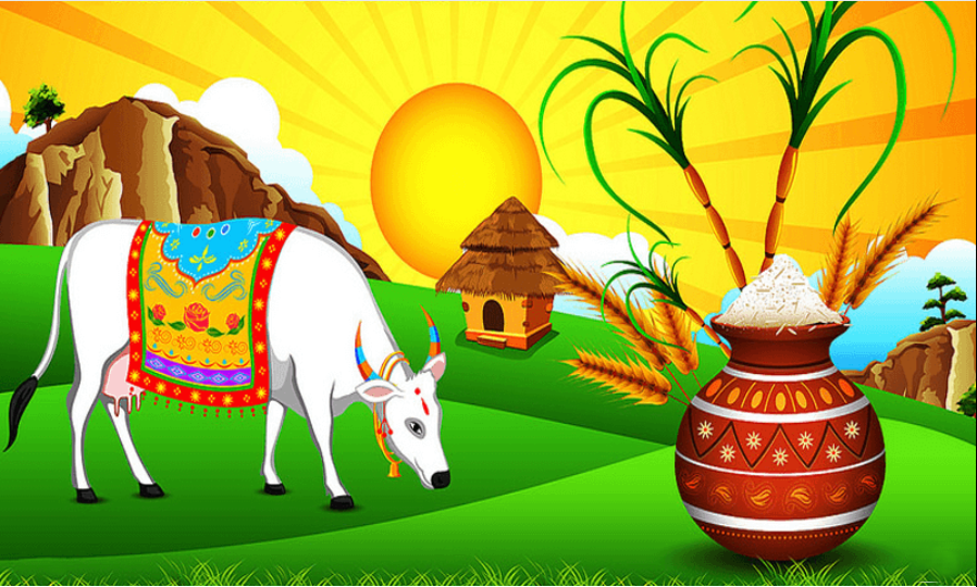 Pongal in Tamil Nadu