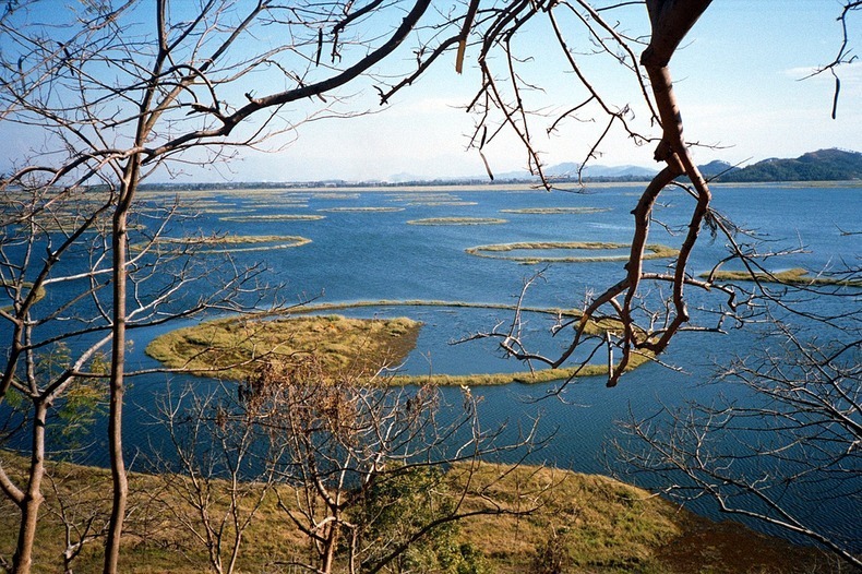 Loktak Lake with ring-shaped phumdis. Courtesy: Google Images