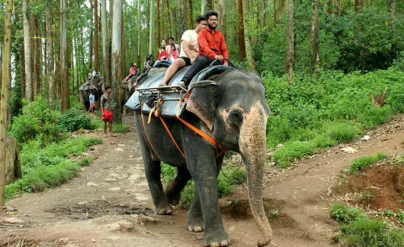 Thrilling activities to do in Munnar of God’s Own Country