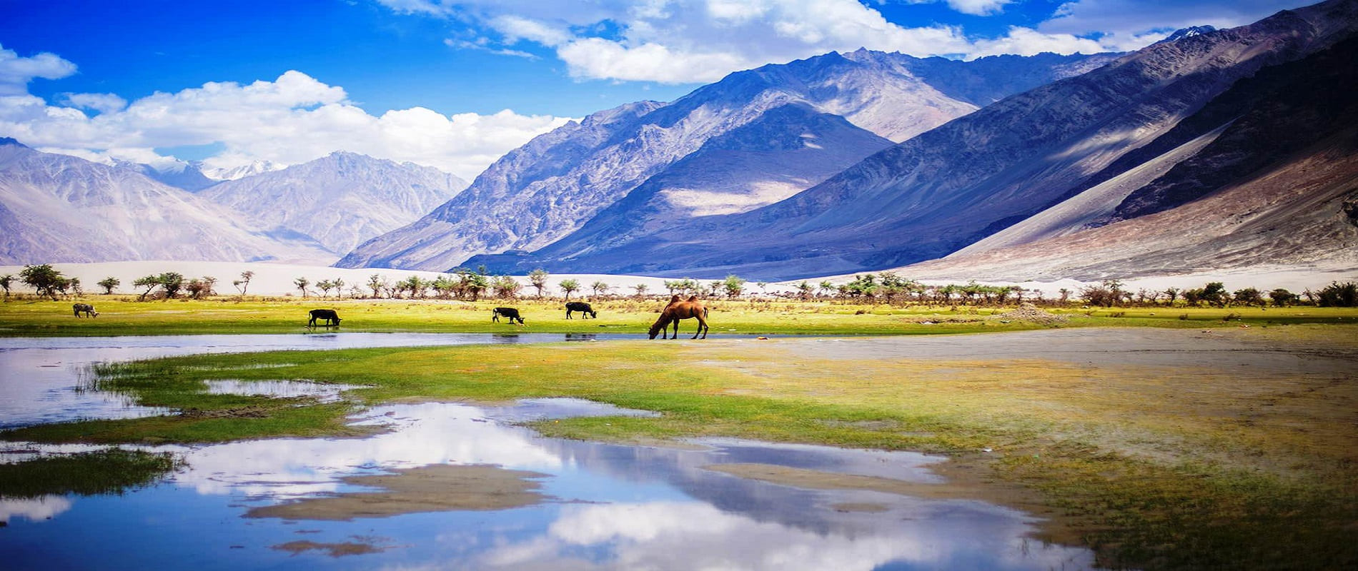 Top attractions to discover during your Leh-Ladakh Tour