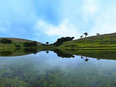 Chikmagalur, Karnataka – Coffee Country in Cool Climes