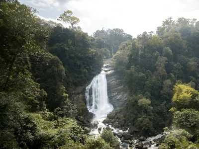 Discover Attukal Waterfalls