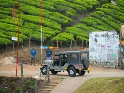 Go for a Jeep Safari