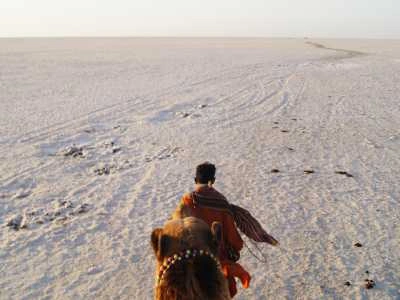 Rann of Kutch, Gujarat – White Desert Dreams