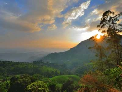 Relax at Pothamedu Viewpoint