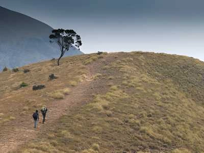 Trek to Meesapulimala