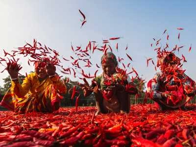 Wander Around the Spice Plantations