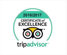 Tripadvisor-2016-17