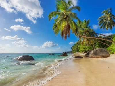 Goa — Beaches Reborn After Monsoon