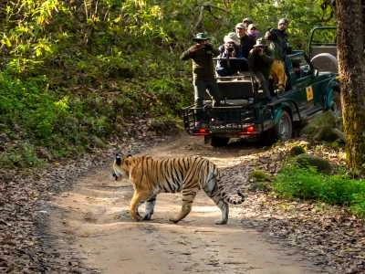 Jim Corbett National Park, Uttarakhand