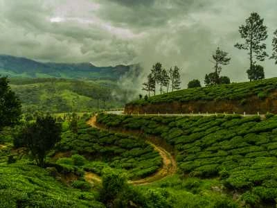 Munnar, Kerala in Monsoon