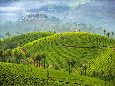 Munnar, Kerala