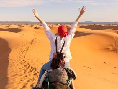 Rajasthan Circuit (Jaipur + Ranthambore + Udaipur)