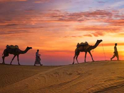 Rajasthan (Jaipur, Jodhpur, Udaipur, Jaisalmer) – The Desert in Bloom