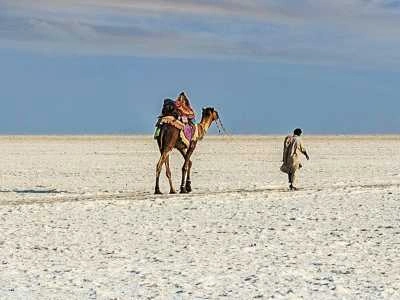 Rann of Kutch, Gujarat – The White Desert Festival