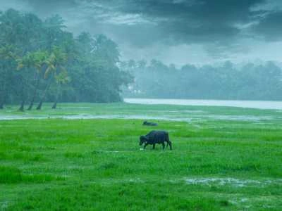 Understanding the Weather in India in August