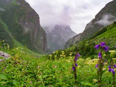 Valley of Flowers, Uttarakhand in Monsoon