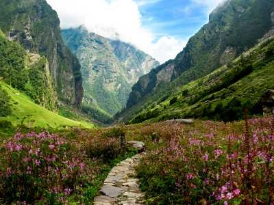 Valley of Flowers, Uttarakhand