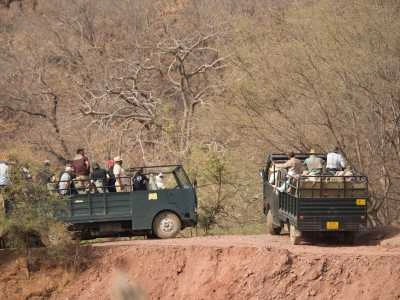 Canter Safari